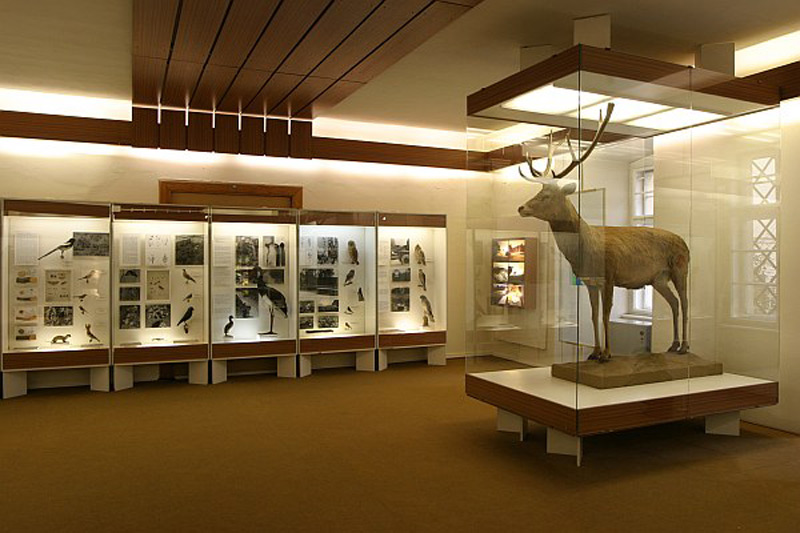 Expozice Priroda