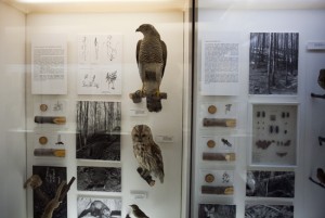 Expozice Priroda
